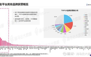 大数据营销实训报告