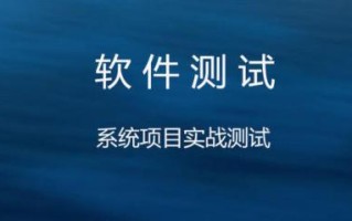 软件大数据测试