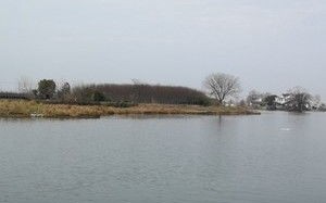 中心桥在哪里
