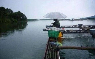 滨洲休闲垂钓