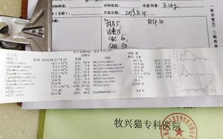 1.收集证据