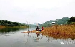 成都哪里可以钓鲟鱼