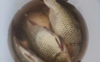 通州钓鱼网