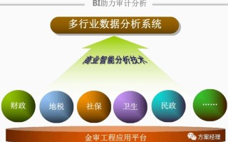大数据审计的缺点