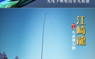 钓鲫鱼用什么鱼竿性价比高