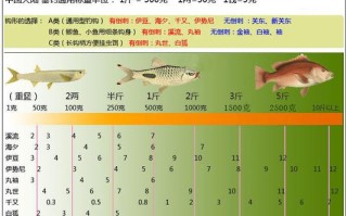 有垂钓等级的小说