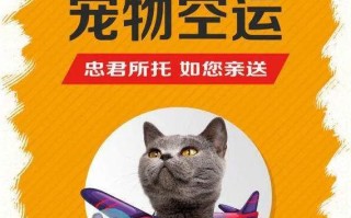 空运宠物回来注意什么