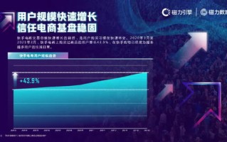 2020年快手大数据报告