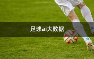足球数据分析
