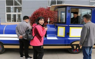 观光小火车造价多少钱