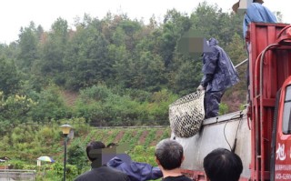1.选择合适的农家乐场地