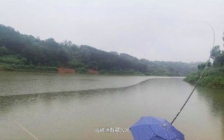 石门子水库钓鱼