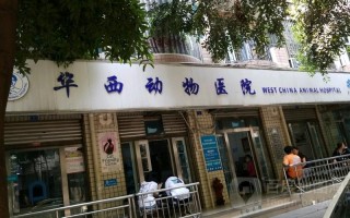 成都华西宠物医院在哪