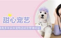 烟台最大宠物美容医院
