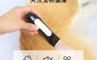 宠物推毛顺毛推还是逆毛推