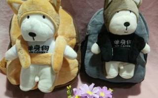 给男孩买个小宠物可以吗