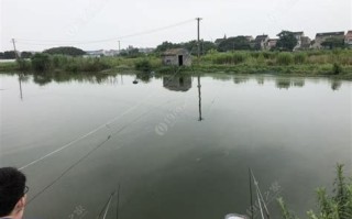 1.选择合适的鱼塘
