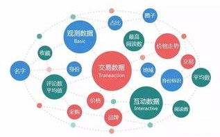 1.大数据在精准营销中的应用