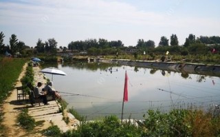 张家窝附近野钓好地方