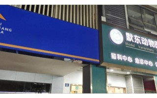 合肥市宠物医院安乐死上门