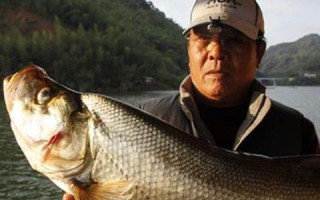 1.坚持练习