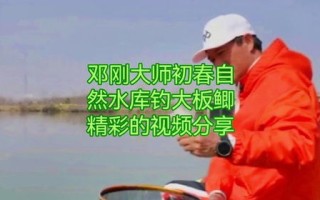 水库钓鱼视频