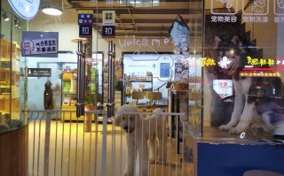 商场开宠物店需要什么证件