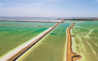 1.背景