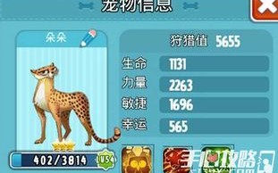 狩猎使命手游宠物搭配