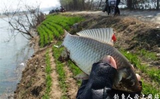 梦见鱼竿断了一节
