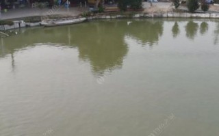 江阴168钓场