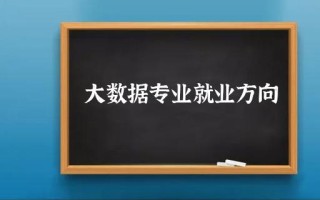 大数据软件开发就业前景及发展趋势