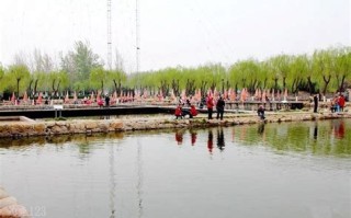 河边烧烤垂钓