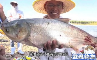重庆禁钓区违钓怎么处罚
