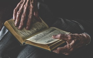 孙颖莎，以卓越表现将伊藤美诚表情包化的研究分析