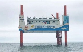 新密民宿推荐
