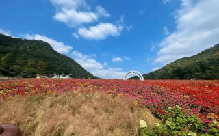 垂钓技巧