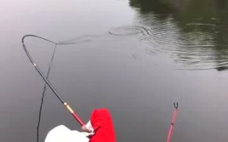 锤钓视频