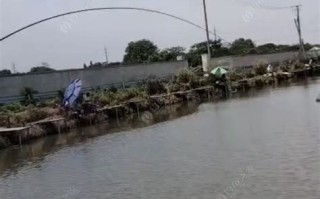 上海宝山免费钓鱼水库