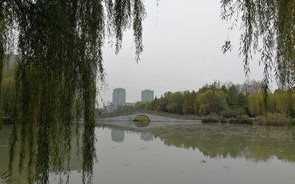 白马休闲钓鱼庄