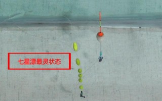 垂钓黄尾可以用七星漂吗？