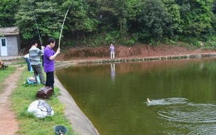 垂钓休闲的优美句子