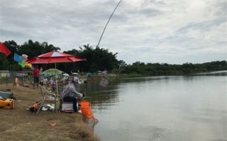 沂南钓鱼群