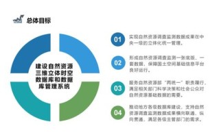 1.确定审计范围和目标