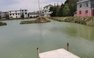 昆明北市区周边钓鲫鱼