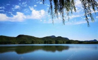 井中钓鱼作文高中议论文