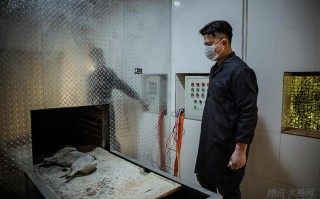 贵阳宠物遗体火化指南及建议