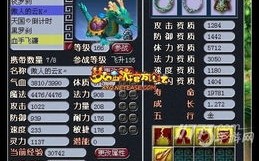 梦幻西游宠物攻击和人物伤害