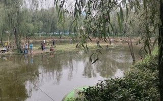 桃花源垂钓中心如何收费