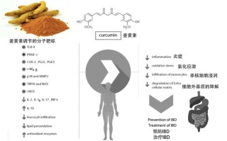 分子靶标垂钓